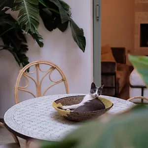 Danka Riad